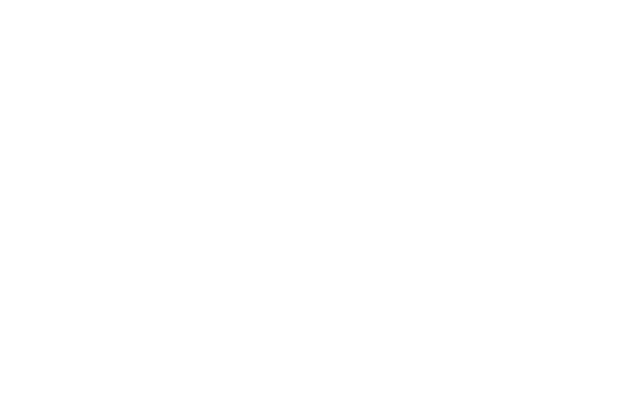 bellingham solstice logo white